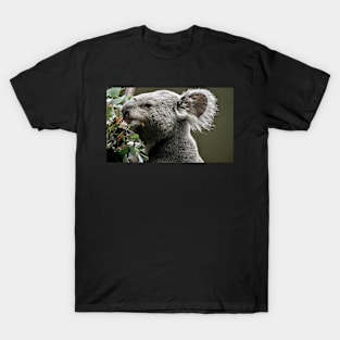 Portrait of a Koala T-Shirt